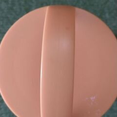 となりのトトロスープジャーの画像