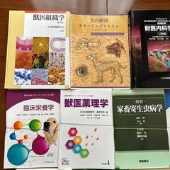 【裁断済】獣医師 専門書13冊セット 動物病理 解剖の画像