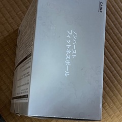 CAINZ ノンバースト・フィットネスボール（直径55cm）ローズ色
の画像