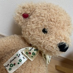 シナダナオコ⭐️
幸せを呼ぶくまさんぬいぐるみの画像