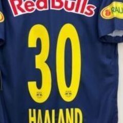 超希少　ハーランド選手特注　ポルシェやワーゲンに　オーストリアのナンバープレートの画像