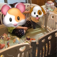 たためるベビーサークルの画像