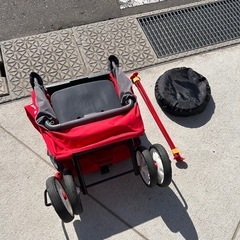 Radio Flyer ラジオフライヤー　カート　キャリーワゴン　二人乗りの画像