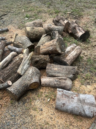 引取り限定　9月15日16日限定！薪　玉切り　キャンプ　ピザ窯