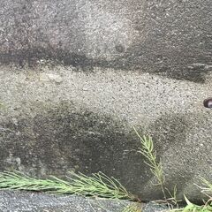 高圧洗浄機　動作確認済みの画像