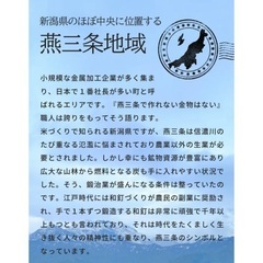 ★美品★燕三条　水切りラック ステンレス 2段 の画像