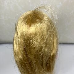 【中古玩具】ドール系　リカちゃんシリーズ１０の画像