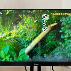　　　iiyama Prolite XUB2492HSUの画像