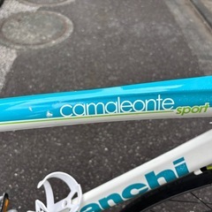 ビアンキ　カメレオンテ1の画像