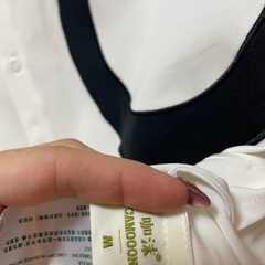 CAMOOONI 虎　ブラウスの画像
