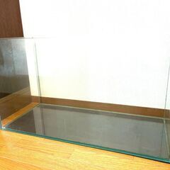 美品 GEX フレームレスガラス90cm水槽 グラステリア900 クッションマット付きの画像
