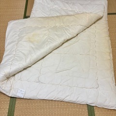 シングル羊毛混掛け布団お譲りします（中古　状態悪め　の画像