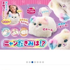 ニャンだきみは！？　猫　白の画像