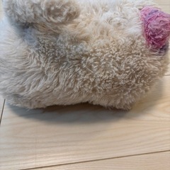 ニャンだきみは！？　猫　白の画像