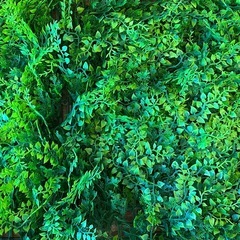 造花の画像