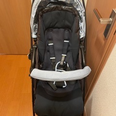 ピジョン　ランフィRB1 付け替えの帆付きの画像