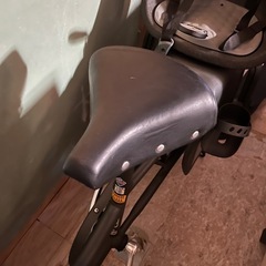 ブリジストン　グリーンラベル　20インチ自転車の画像