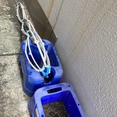 植木鉢いろいろの画像