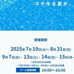 京阪ひらかたパーク入園券＋プール（ザ・ブーン）入場券＋フリーパス割引券　数量1～6名分　ひらパーの画像