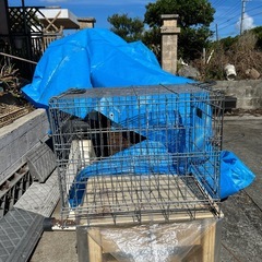 非対面お取り引き　ペット用ゲージの画像