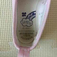 保育園　バレーシューズ　上履　17cm
の画像