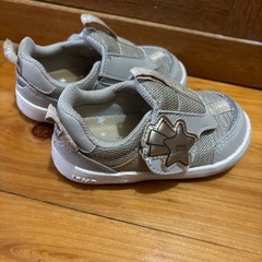 イフミ14センチの画像