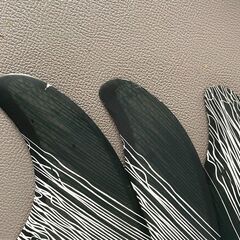 FCS2 フィン TOKORO TRI FINS （Lサイズ）の画像