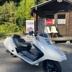★フュージョンX再販最終　パール　GVIスクリーン　
扁平タイヤ★の画像