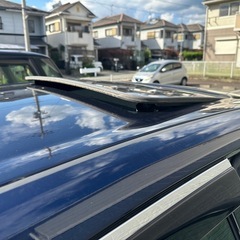 トヨタサイの画像