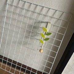 水切りカゴ、壁掛けグッズの画像