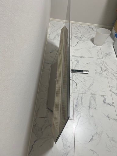 LG 有機EL テレビ 55V