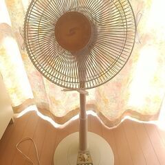 中古扇風機の画像