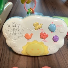 プーメリーの画像