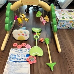 プーメリーの画像