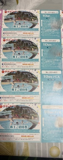 東京サマーランド　ワンデーパス