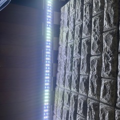 120センチ水槽用ライト LED コトブキ 熱帯魚 金魚 メダカの画像