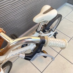 ルイガノ16インチの画像