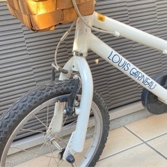 ルイガノ16インチの画像