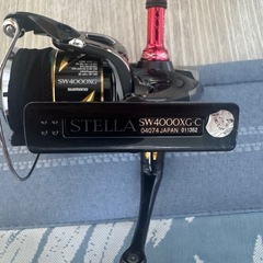20 STELLAの画像