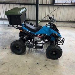 バギー　50cc 公道可能の画像
