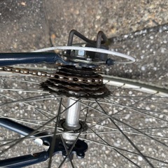レイチェル　ロードバイクの画像