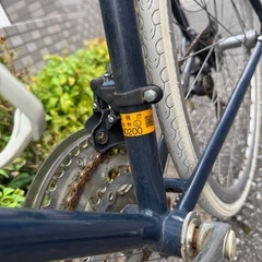 レイチェル　ロードバイクの画像