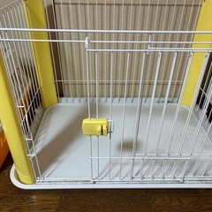 小型犬、子犬用カラーサークル　ほぼ未使用
の画像