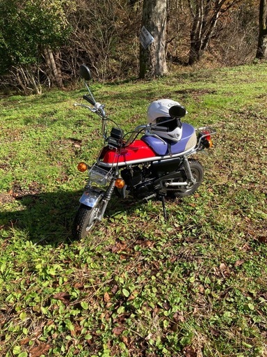 《譲渡完了》スズキ　エポ50