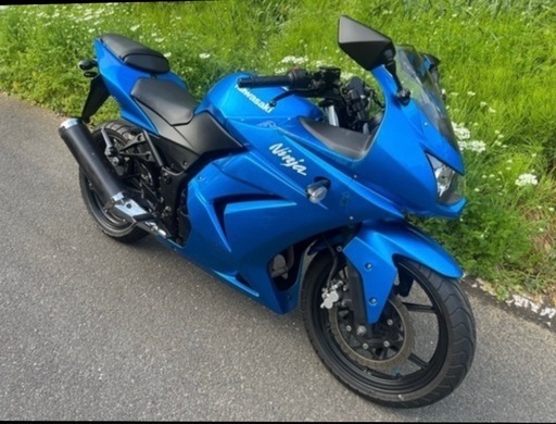 Ninja250r（交換可）