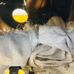 ドラム シェルパックの画像
