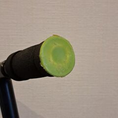 ラングス　キックボードの画像