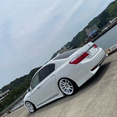 アコードハイブリッド　無限　cr6 cr7 テイン車高調の画像