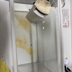 水槽（16✖️31✖️23.5
）の画像