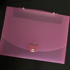 トートバッグ　プラスチック　キャリングケースの画像